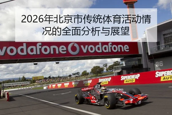 2026年北京市传统体育活动情况的全面分析与展望
